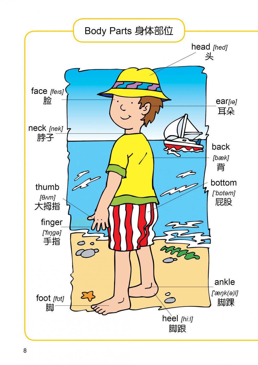 像美国孩子一样 学英语单词 英语单词大书 绘本3-6岁幼儿园课本教材英文入门启蒙大中班读物