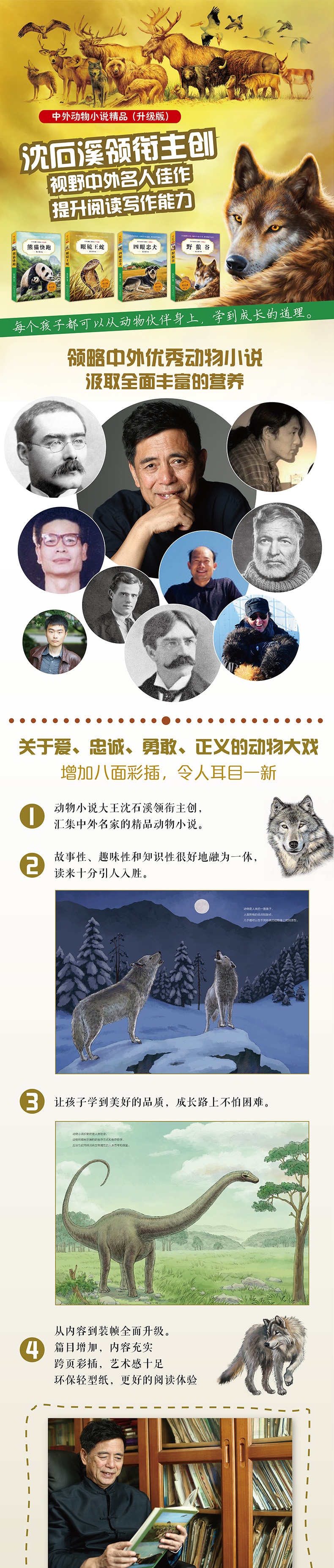 沈石溪动物小说全集全系列8册中外动物小说正版小学生课外阅读的书籍儿童文学7-14岁