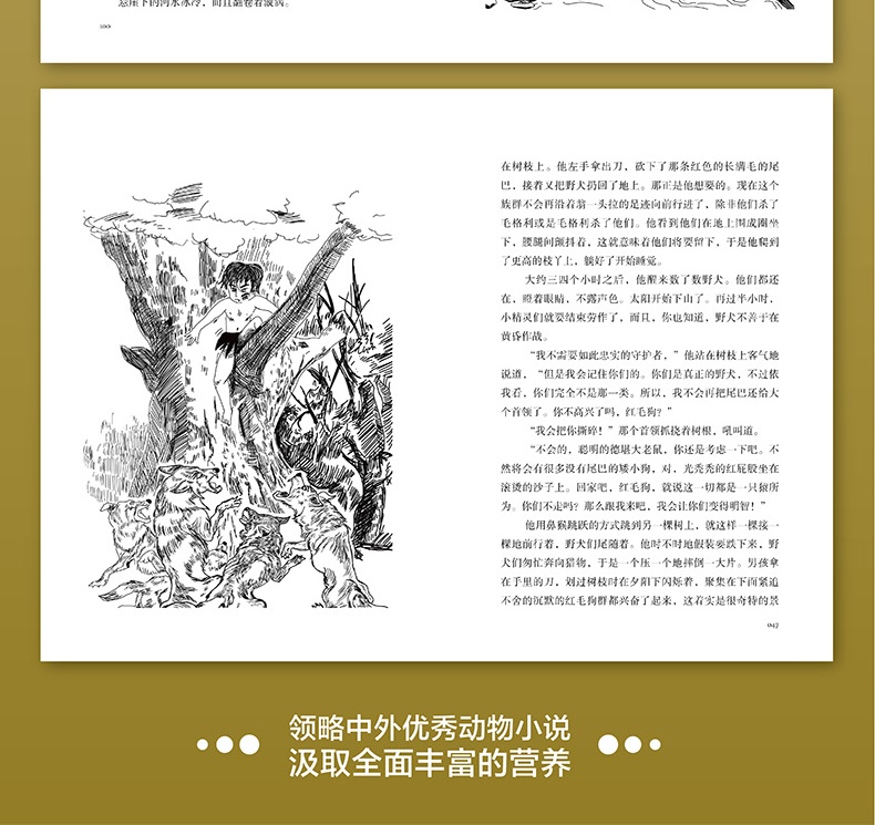 沈石溪动物小说全集全系列8册中外动物小说正版小学生课外阅读的书籍儿童文学7-14岁