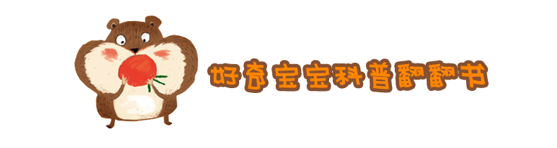 正版全8册宝宝撕不烂 儿童立体书3d翻翻书 婴幼儿启蒙认识情景体验绘本两三岁宝宝书籍 幼儿园早教