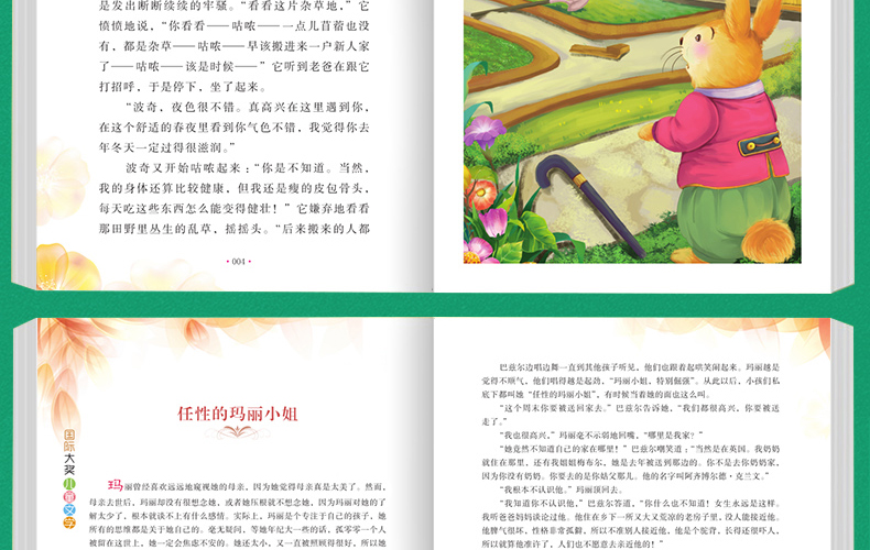 国际大奖儿童文学小说 小学生三四五六年级课外阅读书籍 全套8册 兔子坡 6-12岁励志儿童文学书籍