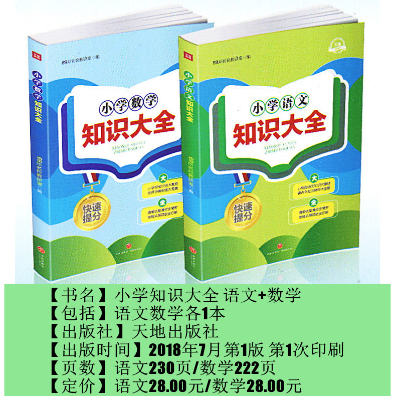 小学语文数学知识大全 天地出版社小学生小升初总复习基础知识456年适用字词句段阅读写作文学百科知识考