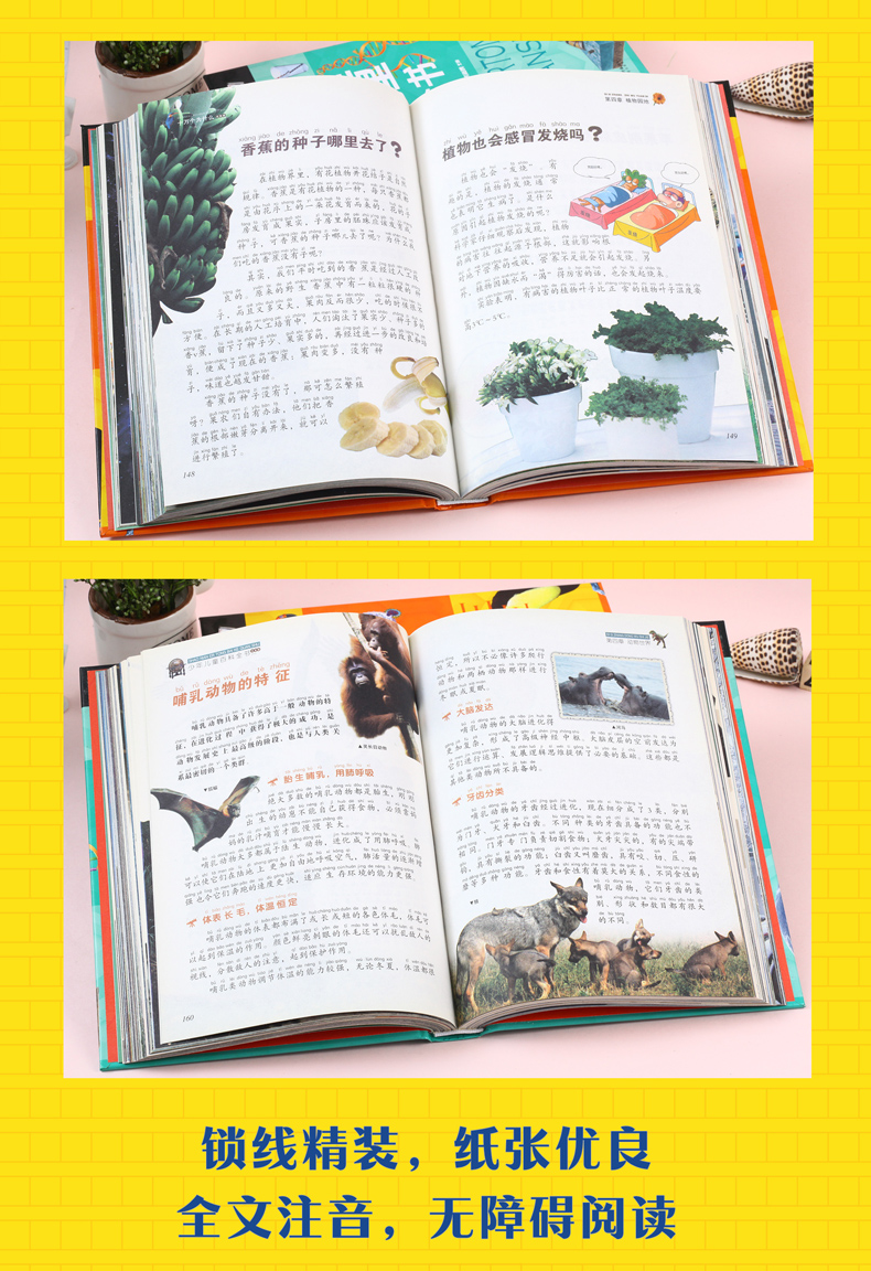 全3册 儿童十万个为什么注音版 中国少年儿童百科全书 小学生一二三年级少儿百科书籍7-10岁
