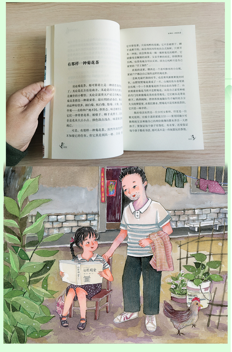 在丢失中长大谢倩霓引领成长美好童年成长故事慰藉心灵一诺的家风儿童文学
