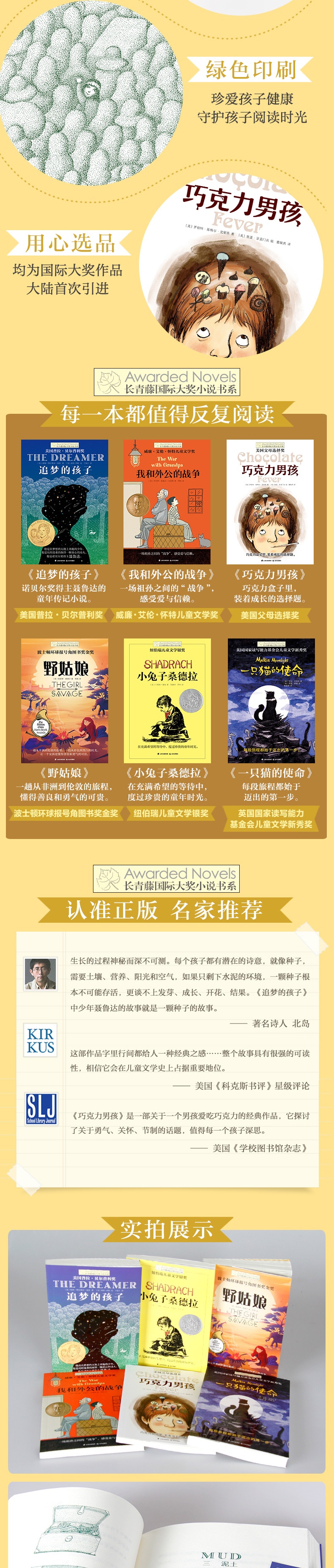 长青藤国际大奖小说书系第九辑全套6册 追梦的孩子+一只猫的使命等儿童文学三四五六年级课外书