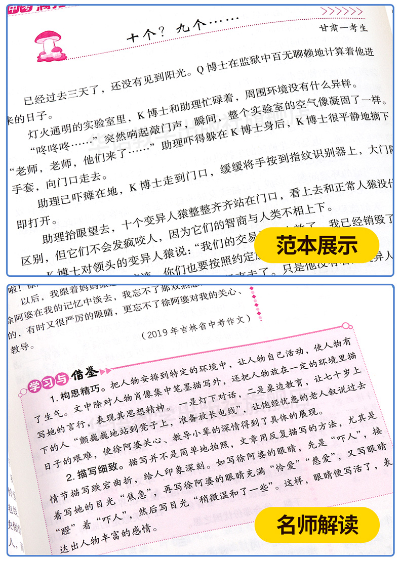 备考2020新中考满分作文辅导大全一本全初中生中学生作文辅导大全真卷议论文热点素材精选七八九年级作文