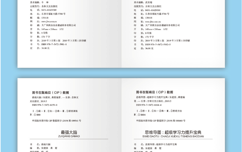 全6册图解思维导图+逻辑思考力+记忆术+最强大脑思维风暴正版思路决定出路形式逻辑思维训练书籍