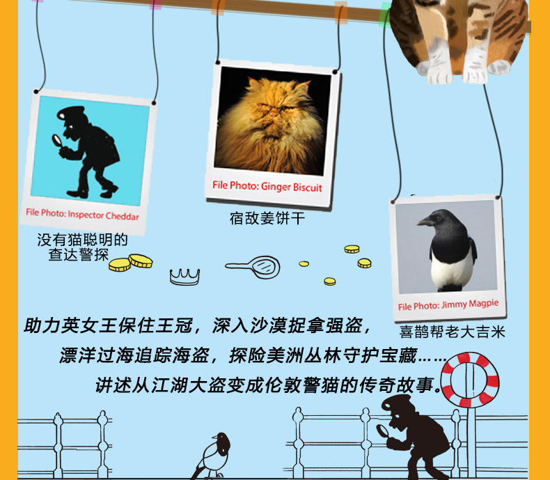 神探虎斑猫全套7册 狼王梦沈石溪小学生三四五六年级课外阅读书籍必读儿童读物神探猫破案冒险故事小说