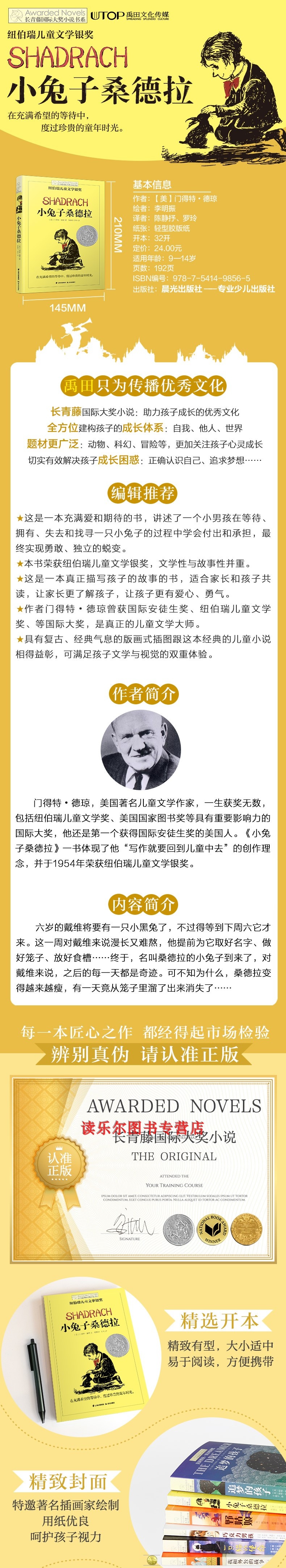 小兔子桑德拉 长青藤国际大奖小说书系 儿童文学8-10-12-15岁少儿读物三四五六年级小学生课外书