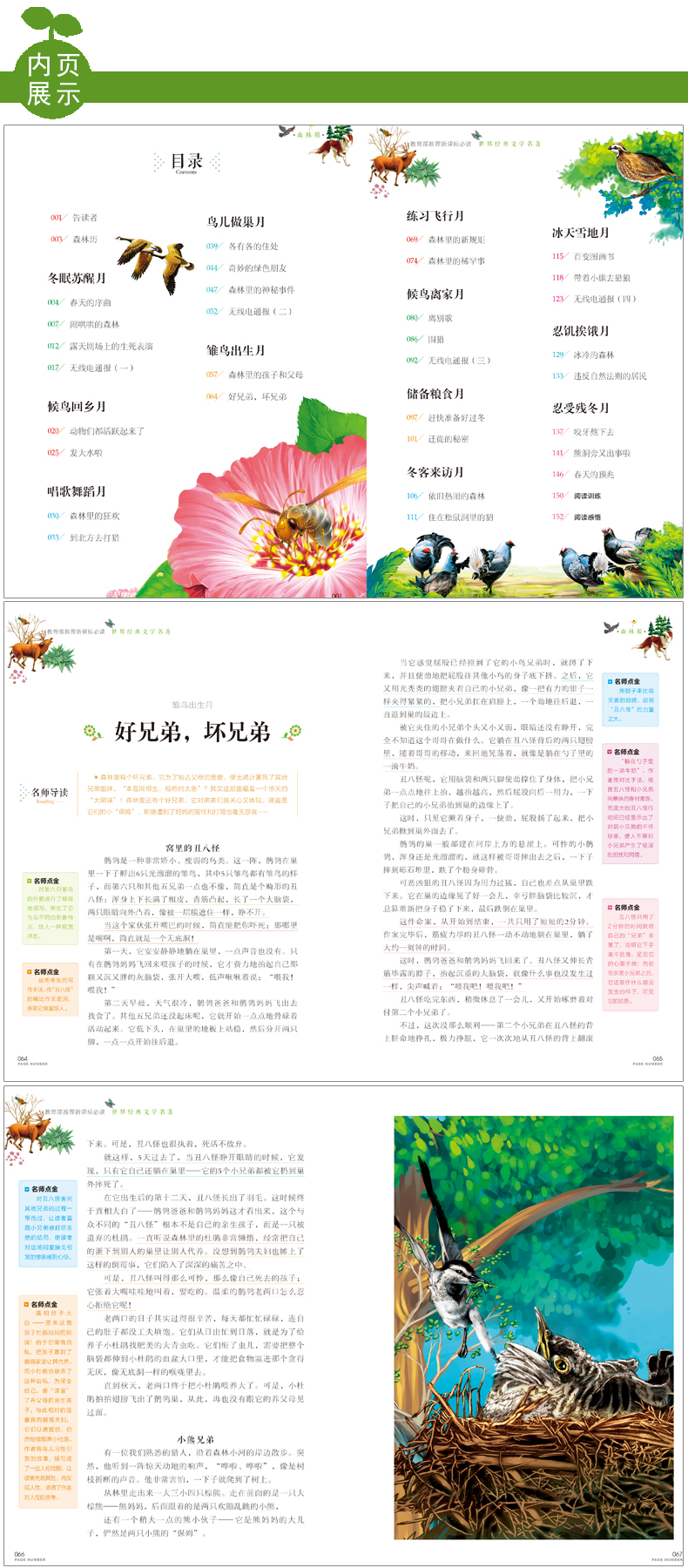 正版 森林报 春夏秋冬系列合集 苏 维 比安基著 小学生课外书阅读物8-9-10-12周岁少儿童书籍畅销书三六四五年级图书