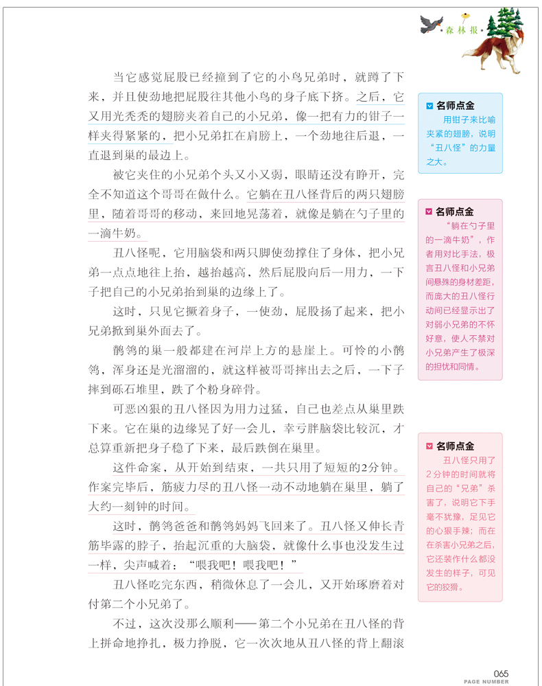 正版 森林报 春夏秋冬系列合集 苏 维 比安基著 小学生课外书阅读物8-9-10-12周岁少儿童书籍畅销书三六四五年级图书