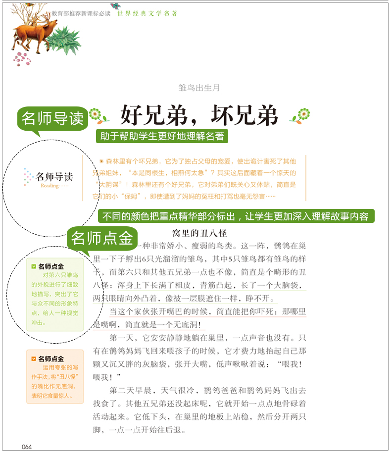 正版 森林报 春夏秋冬系列合集 苏 维 比安基著 小学生课外书阅读物8-9-10-12周岁少儿童书籍畅销书三六四五年级图书