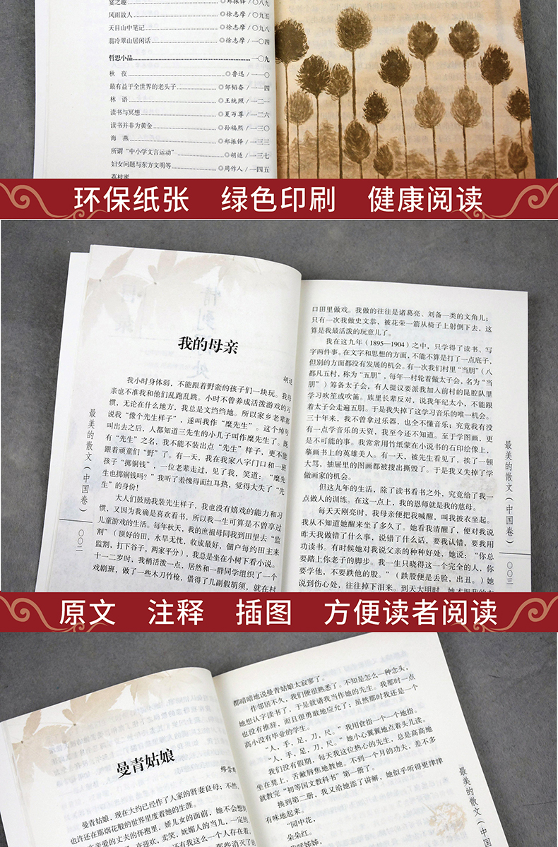 正版 中国世界最美的散文 朱自清鲁迅老舍冰心闻一多等精选大全集 散文诗歌中国世界卷现当代随笔集 励志人生哲理文学书籍FR