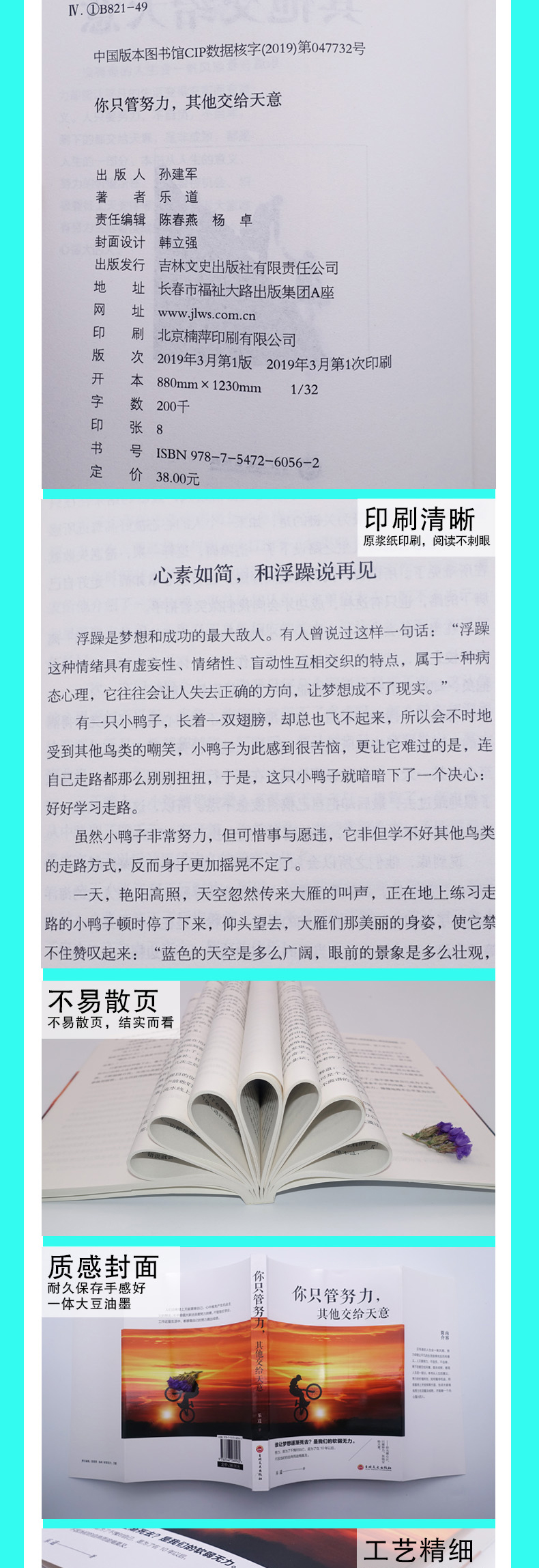 你只管努力其他交给天意 励志成功学职场打拼生存指南书籍励志成长青春成功励志类成功指导图书籍畅销书排行榜YC