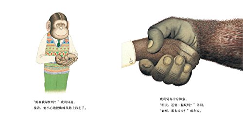 【桑乾品质-安东尼.布朗作品】正版威利和朋友精装蒲蒲兰绘本馆少幼儿童宝宝亲子情商成长励志故事图画书0-2-3-4-5-6-8岁