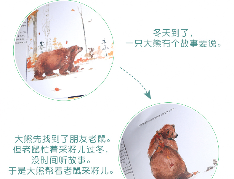 大熊有个故事要说 麦克米伦世纪大奖经典精装绘本图画书 3-4-5-6-7-8周岁 儿童小孩亲子阅读童话故事书籍幼儿读本幼儿园老师推荐