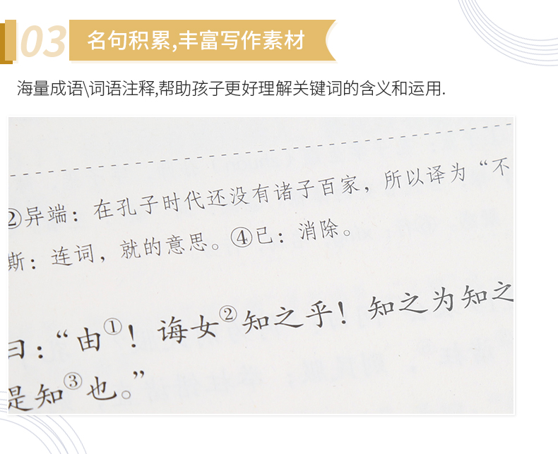 【2020年教育部推荐读物高中学生阅读必读书目】论语国学经典论语译注论语通译原文全书生青少年小学孔子书籍学庸中国哲学