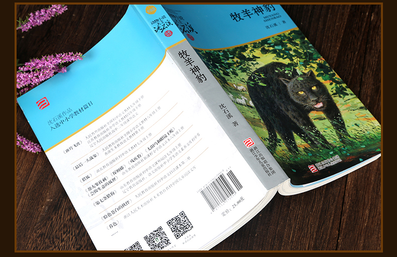  正版 沈石溪动物小说牧羊神豹升级版 沈石溪大王的书全集单本全系列品藏书系 四五 三六年级小学生儿童文学作品集 浙江少