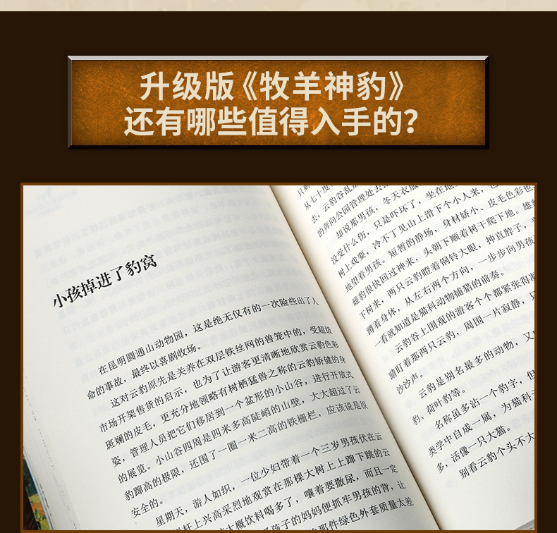  正版 沈石溪动物小说牧羊神豹升级版 沈石溪大王的书全集单本全系列品藏书系 四五 三六年级小学生儿童文学作品集 浙江少