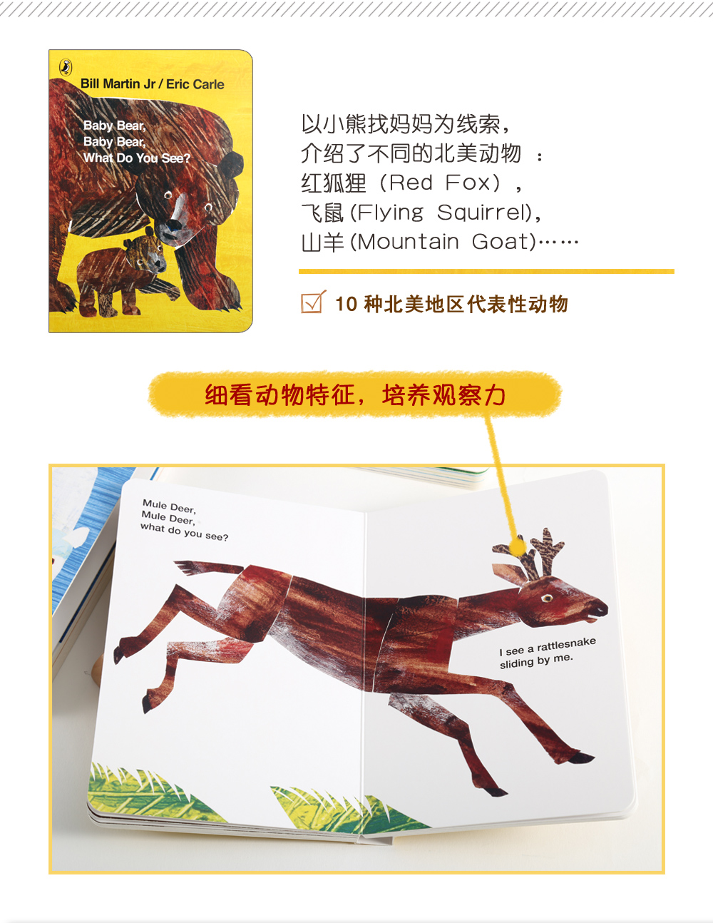 FX凯迪克图书Brown Bear Collection 棕熊四册盒装 英语启蒙认知绘本 点读版 支持好饿的毛毛虫点读笔毛毛虫点读笔配套书
