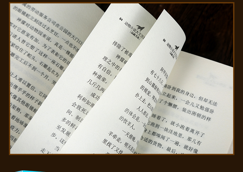  正版 沈石溪动物小说牧羊神豹升级版 沈石溪大王的书全集单本全系列品藏书系 四五 三六年级小学生儿童文学作品集 浙江少