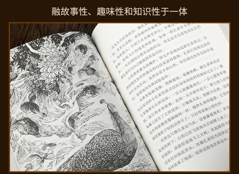  正版 沈石溪动物小说牧羊神豹升级版 沈石溪大王的书全集单本全系列品藏书系 四五 三六年级小学生儿童文学作品集 浙江少
