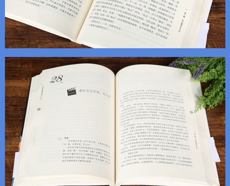 官方正版 何捷老师的生动语文50问 何捷老师的书全套 小学语文老师教学用书 青年教师教学参考家长辅导孩子写作文教材