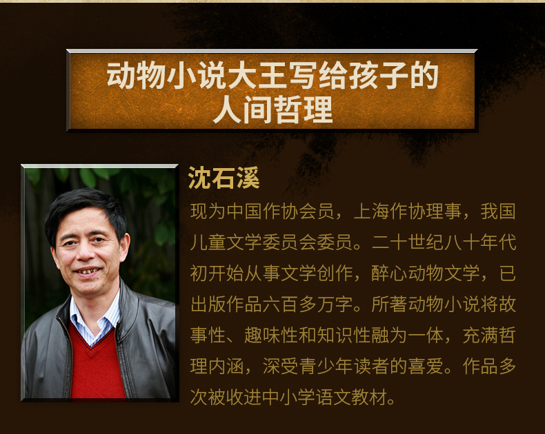  正版 沈石溪动物小说牧羊神豹升级版 沈石溪大王的书全集单本全系列品藏书系 四五 三六年级小学生儿童文学作品集 浙江少