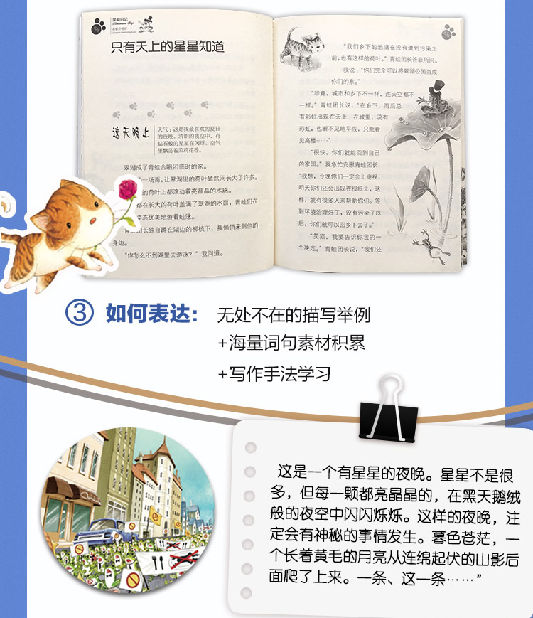  笑猫日记套装9-16全套8册第二季 淘气包马小跳作者杨红樱著8-10-15岁儿童文学小学生成长励志课外阅读书籍杨红樱童话校园