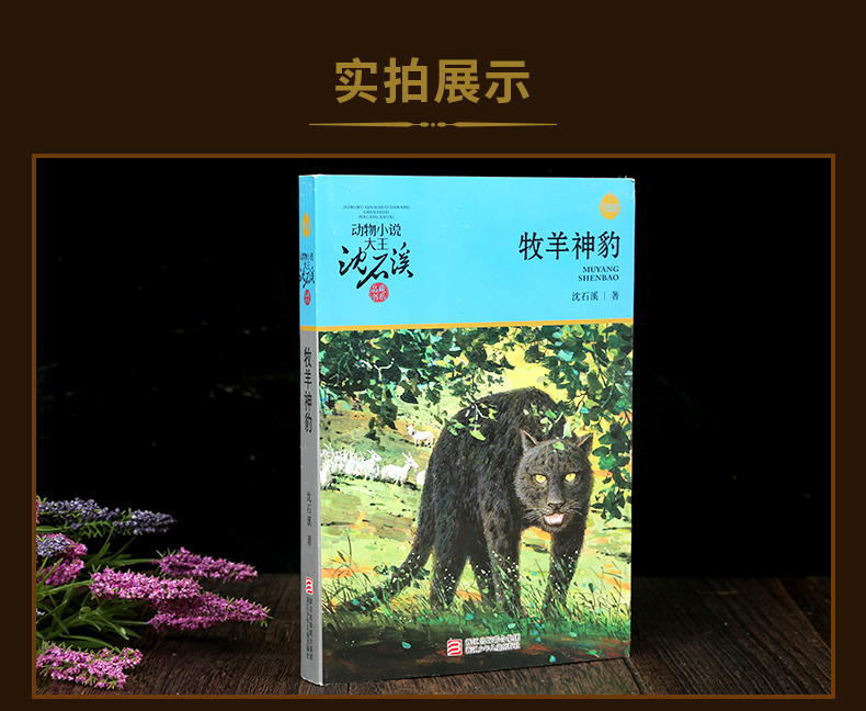  正版 沈石溪动物小说牧羊神豹升级版 沈石溪大王的书全集单本全系列品藏书系 四五 三六年级小学生儿童文学作品集 浙江少