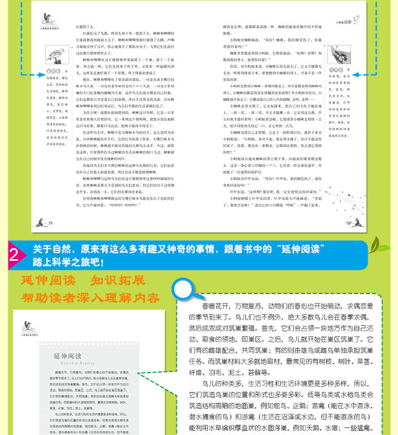 【任选5本36元】小老鼠皮克历险记 图文版 比安基精典森林故事 7-8-9-12岁儿童故事书 一套关于森林的百科全书