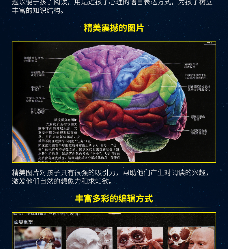 【同系列2本减3元】正版 DK探索-人体奥秘 6-12岁少年儿童科普百科全书 dk儿童人体百科全书