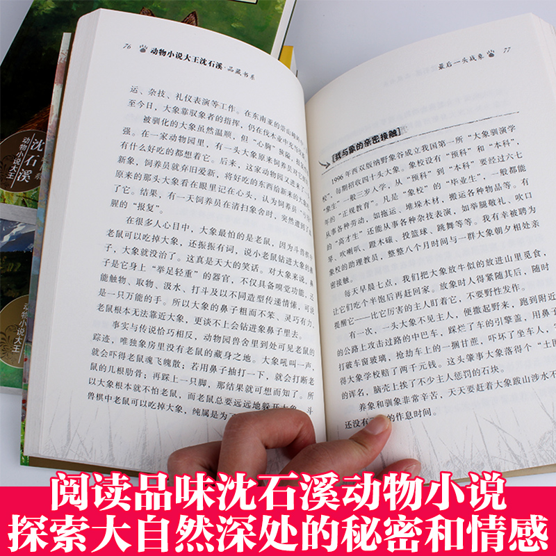  正版 沈石溪动物小说全集 全3册 品藏书系zui后一头战象第七条猎狗+狼王梦沈石溪动物小说单本热卖书间花