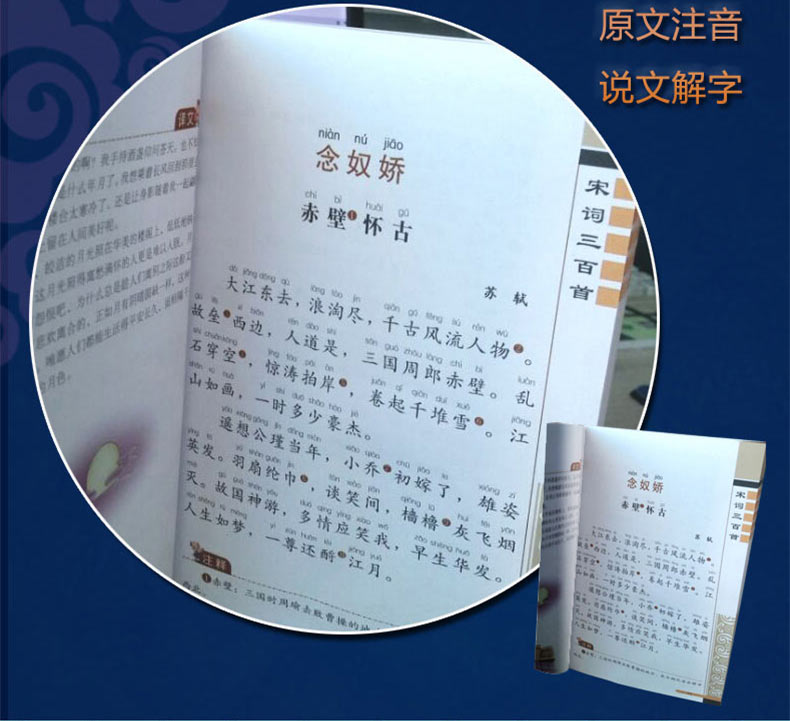 预售 20册小学国学经典书籍全套彩图注音版笠翁对韵声律启蒙正版书三字经千字文弟子规儿童版唐诗三百首大全一二年