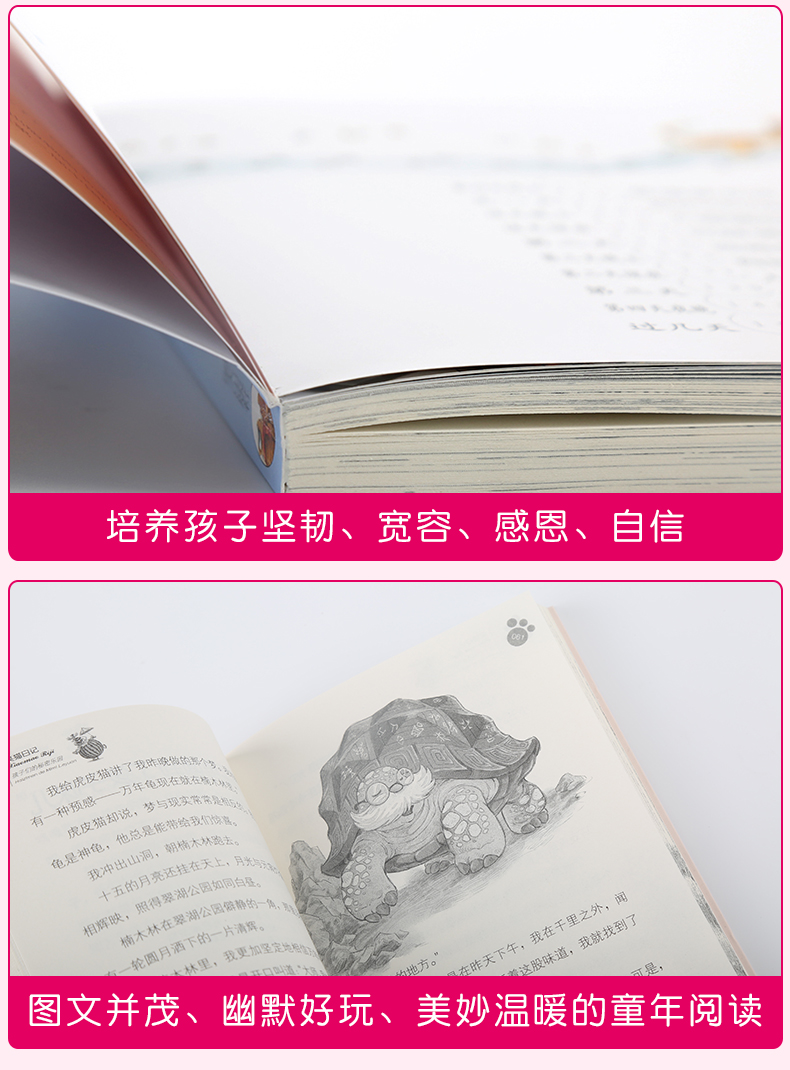  正版笑猫日记第23册樱花巷的秘密 笑猫日记单本全集23册第一季第二第三第四季 杨红樱系列书全套四五六年级校园小说10-12