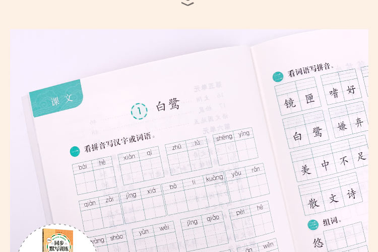 新编同步默写训练五年级上册一学期语文5年级语文课外读物同步训练生字注音默写能手部编人教版阅读理解