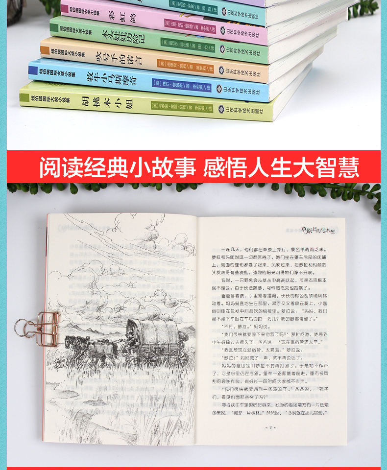 国际大奖儿童文学读物8册 草原上的小木屋彩虹鸽兔子坡 小学生课外书8-12-15岁班主任老师推荐阅读