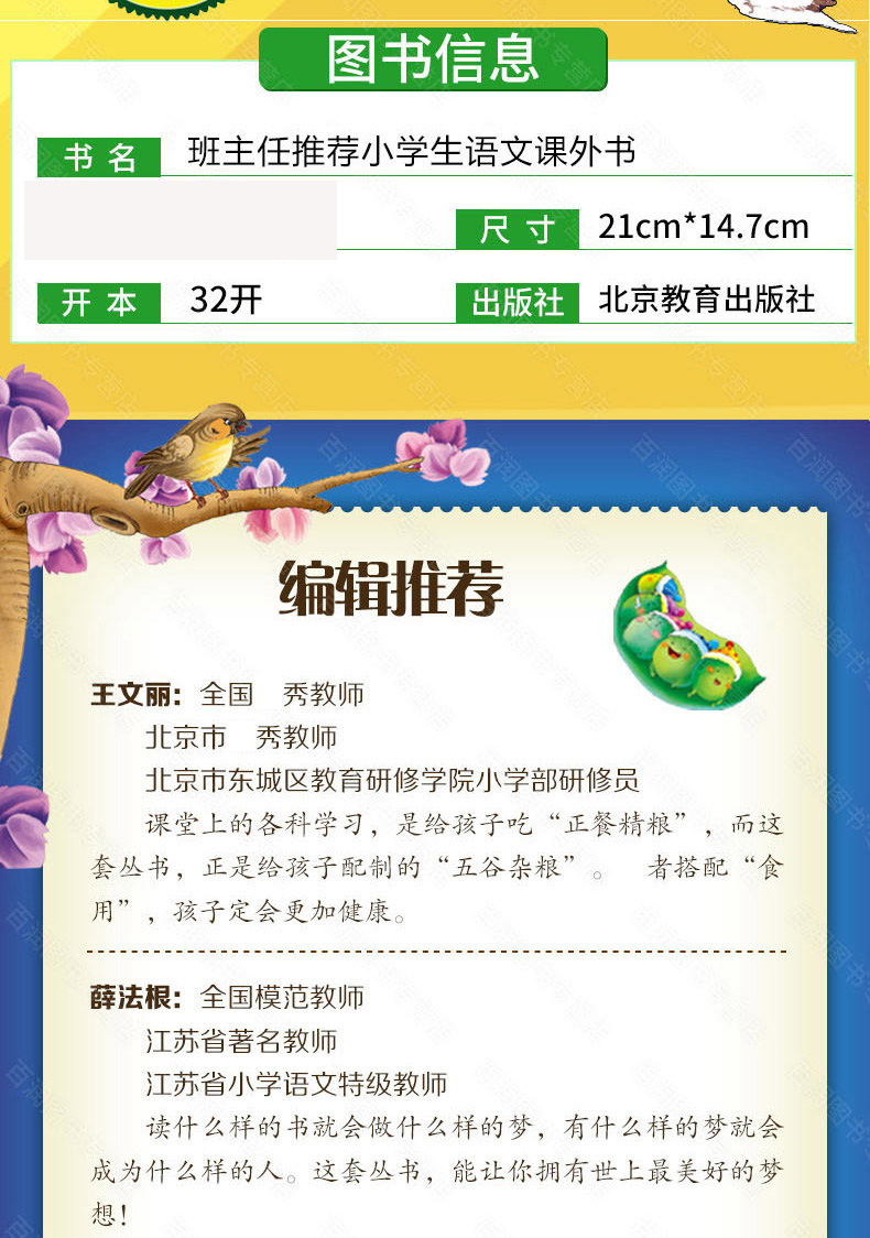 木偶奇遇记 绿野仙踪 兔子坡 小飞侠彼得潘 套装全4册 小学生新课标丛书一二三年级儿童读物