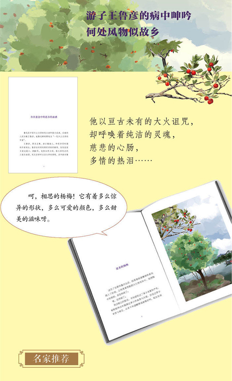 大家小书悦读经典 全7册北京的春节海燕阿长与山海经祖父的园子四五六年级小学生必读课外阅读书籍老舍朱自清鲁迅儿童文学经典读物