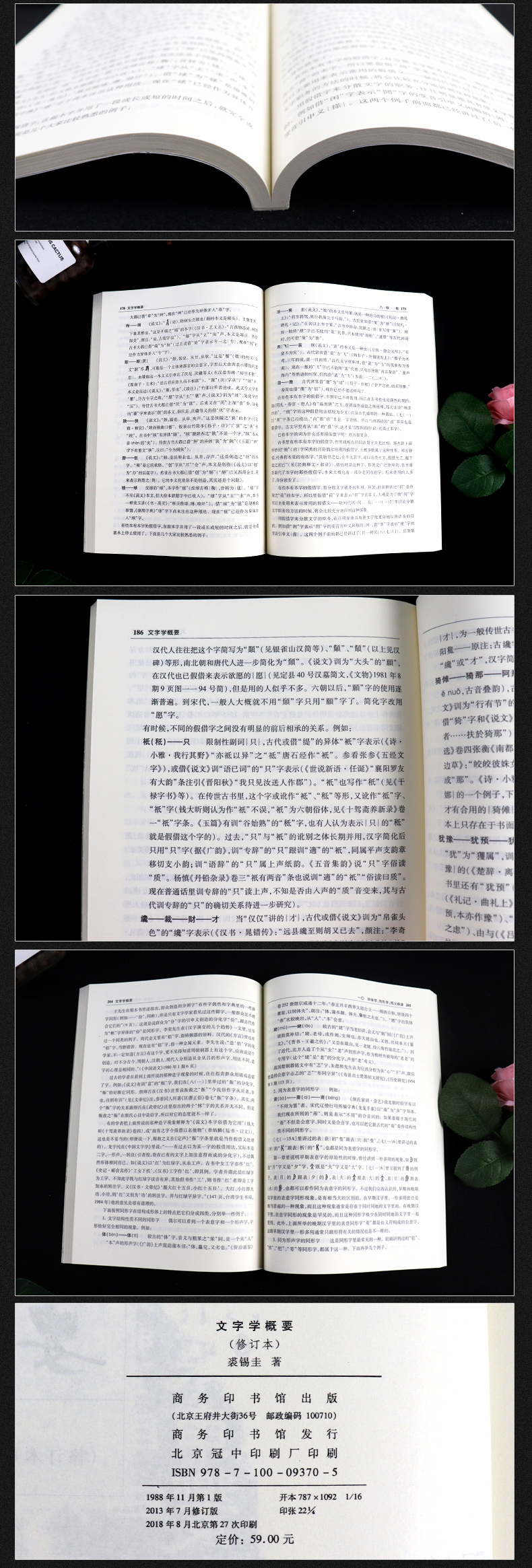 正版包邮 文字学概要 裘锡圭 修订本 说文解字语言学教程汉语言学语法 语言学概论文字形成的过程汉字的性质形成和发展 商务印书馆