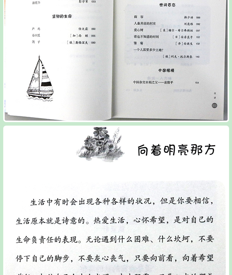 长大的旅程语文第二课堂 五年级9曹文轩儿童文学书 学校推荐 7-10岁儿童文学校故事书 小学生课外阅读故事书籍山东画报出版社