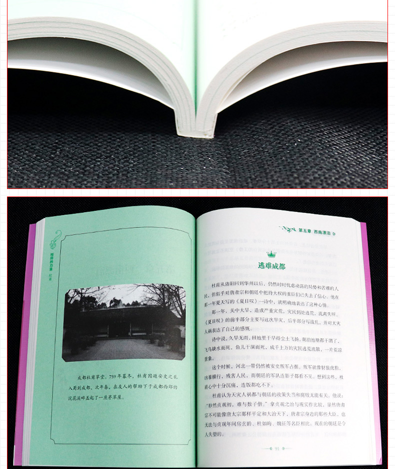 正版 杜甫 榜样的力量 文学篇 杜甫传 世界名人传记自传励志故事历史人物文学家 初高中小学生青少年课外阅读经典老师推荐图书籍