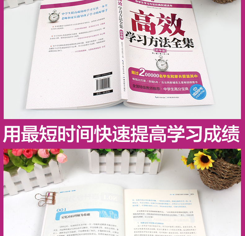 正版包邮现货 高效学习方法全集-初中版 让学生找到学习的方法 提高学习效率 提高记忆能力专注能力读写能力和计划能力 畅销书籍