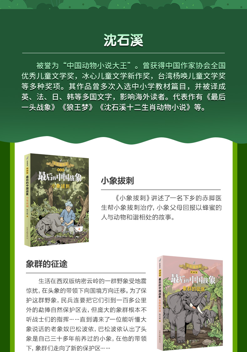 最后的中国战象系列漫画版1-6册 全套正版沈石溪著学校推荐阅读书目8-12岁小学生三四五年级儿童课外书必读故事书经典儿童文学读物
