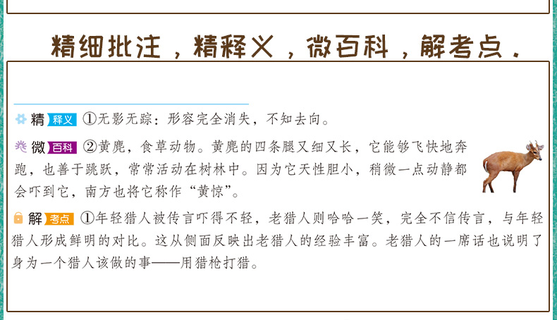 全套5册快乐读书吧二年级上小鲤鱼跳龙门注音版书一只想飞的猫孤独小螃蟹小狗小房子歪脑袋木头桩必读上册正版人教版课外阅读书籍