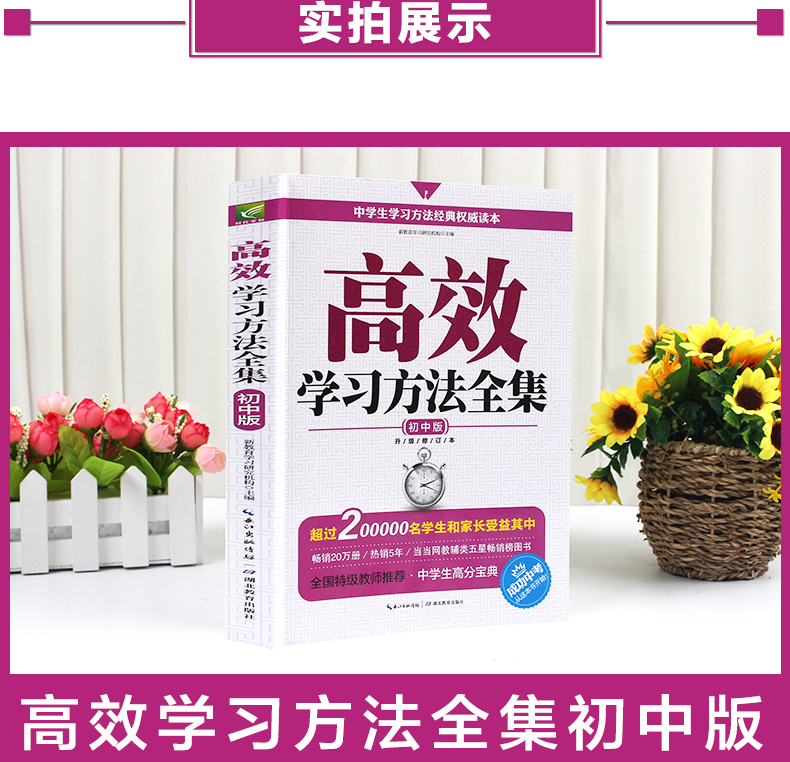 正版包邮现货 高效学习方法全集-初中版 让学生找到学习的方法 提高学习效率 提高记忆能力专注能力读写能力和计划能力 畅销书籍