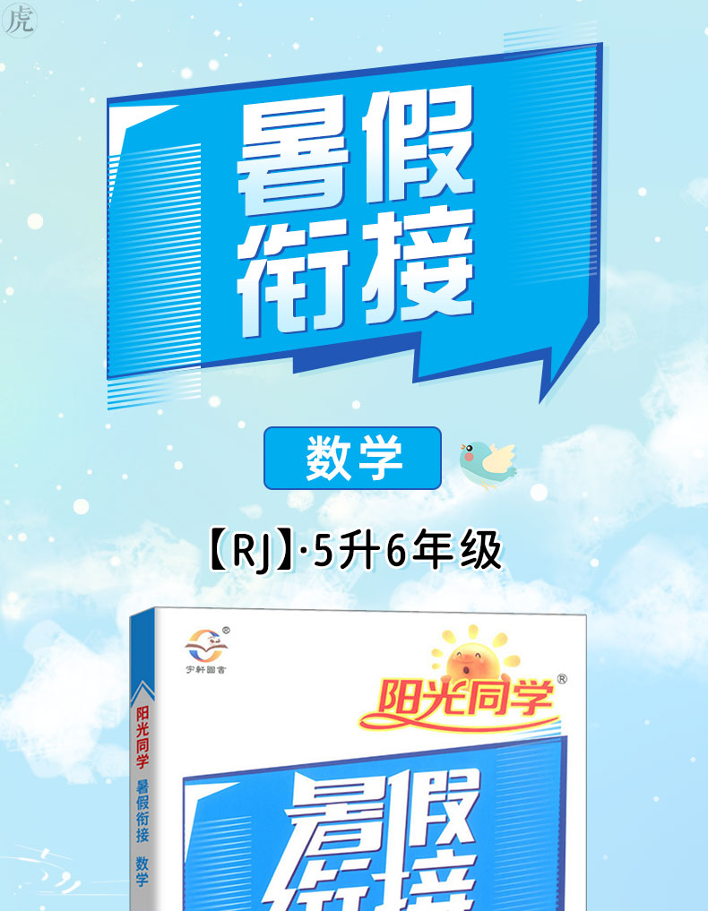 2020阳光同学暑假衔接数学5升6年级-人教版 暑假作业本预习复习同步练习册暑期培训教材训练题辅导班资料RJ版暑假衔接教材资料书