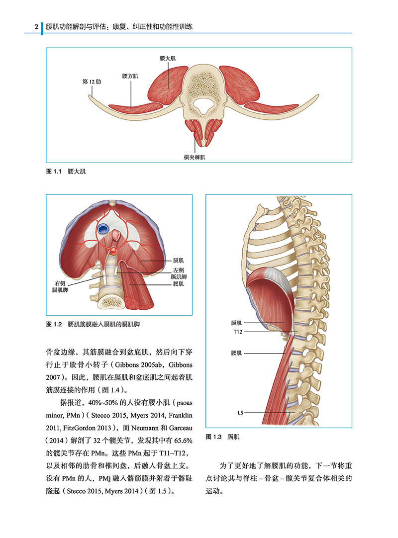 康復糾正性和功能性訓練 健身書籍腰部肌肉腰肌勞損肌肉疼痛解剖運動