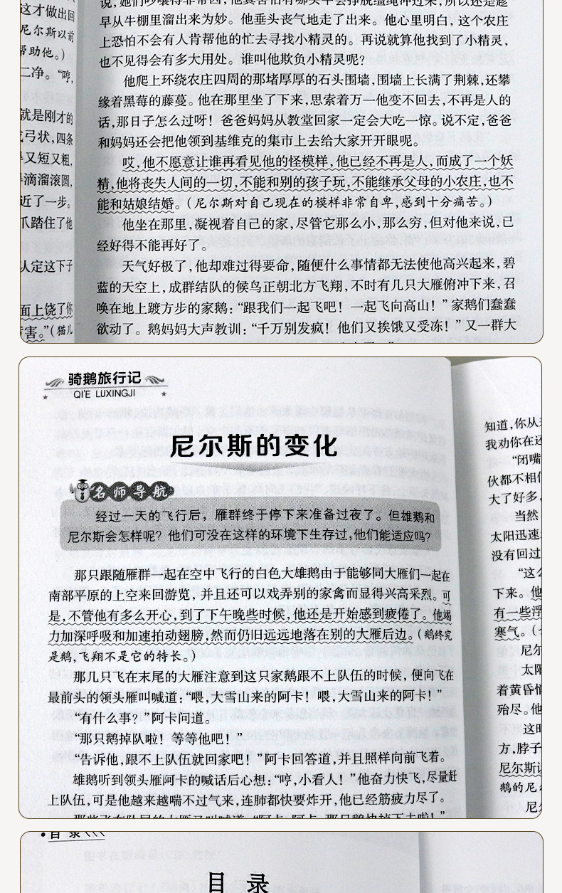 【4本12元系列】骑鹅旅行记正版包邮 儿童四五六年级下册阅读小学生必读课外书籍尼尔斯世界名著原著文学畅销读物老师推荐睡前故事