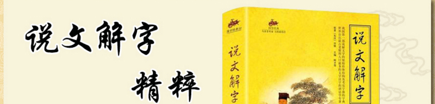 正版包邮现货 说文解字精粹 原文译文注释插图版图解古代汉语字典古文字字典咬文嚼字细说汉字的故事画说汉字 国学书籍